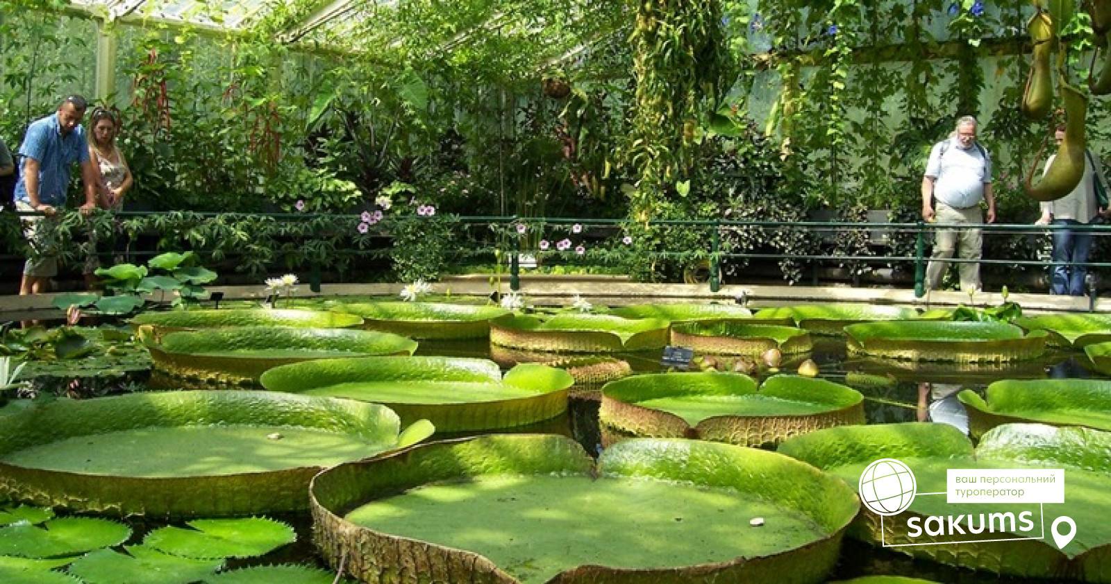 Ботанический сад Космопорт